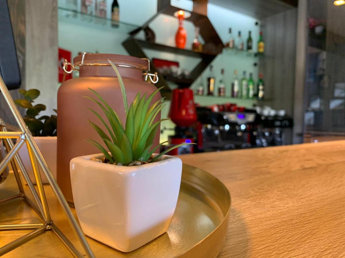 Hotel Escalade 포이아나브라소프 외부 사진